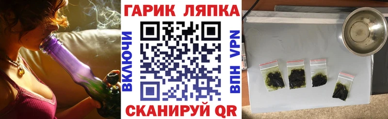 ГАШ Изолятор  Купить закладки  Сортавала 