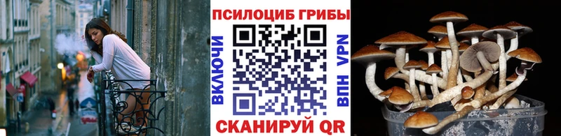 Купить где  Сортавала  Псилоцибиновые грибы MAGIC MUSHROOMS 